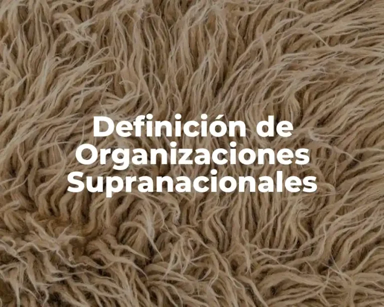 Definición de Organizaciones Supranacionales