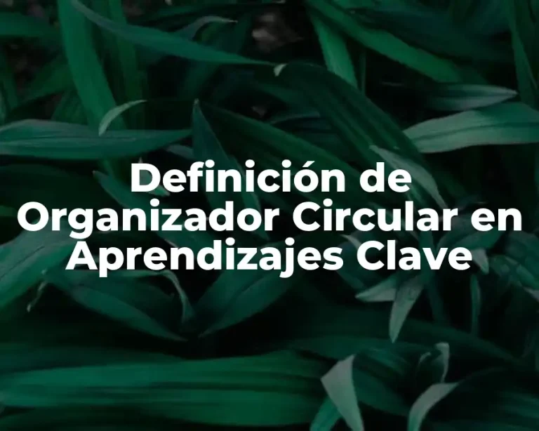 Definición de Organizador Circular en Aprendizajes Clave