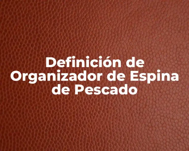Definición de Organizador de Espina de Pescado
