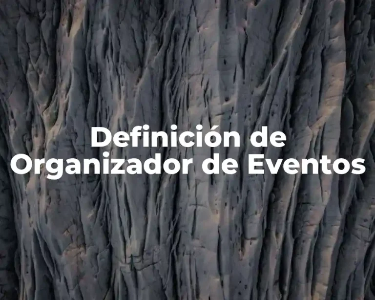 Definición de Organizador de Eventos