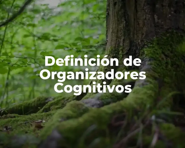 Definición de Organizadores Cognitivos