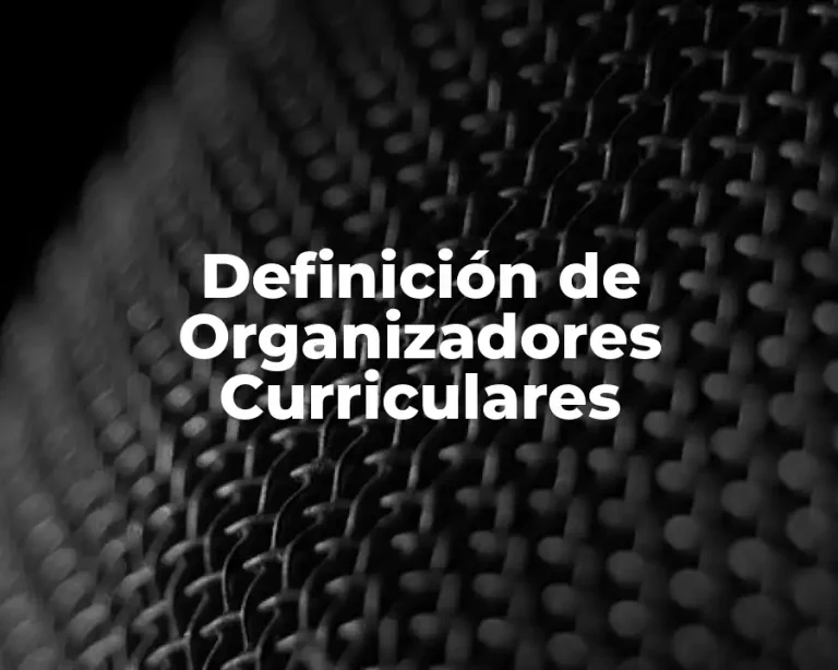 Definición de Organizadores Curriculares