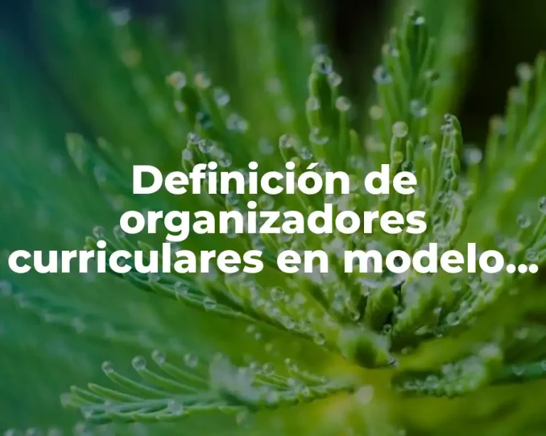 Definición de organizadores curriculares en modelo educativo preescolar
