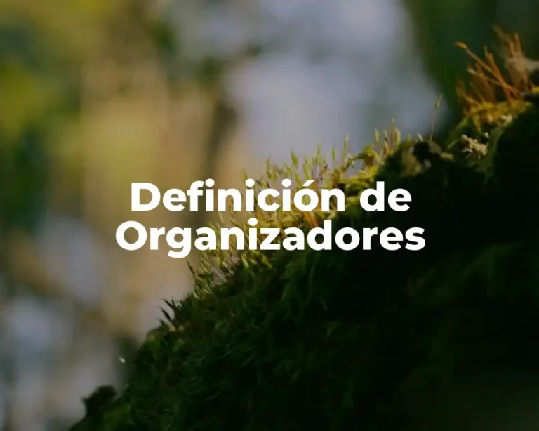 Definición de Organizadores
