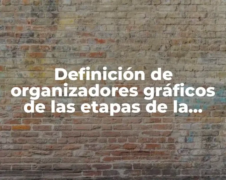 Definición de organizadores gráficos de las etapas de la lectura
