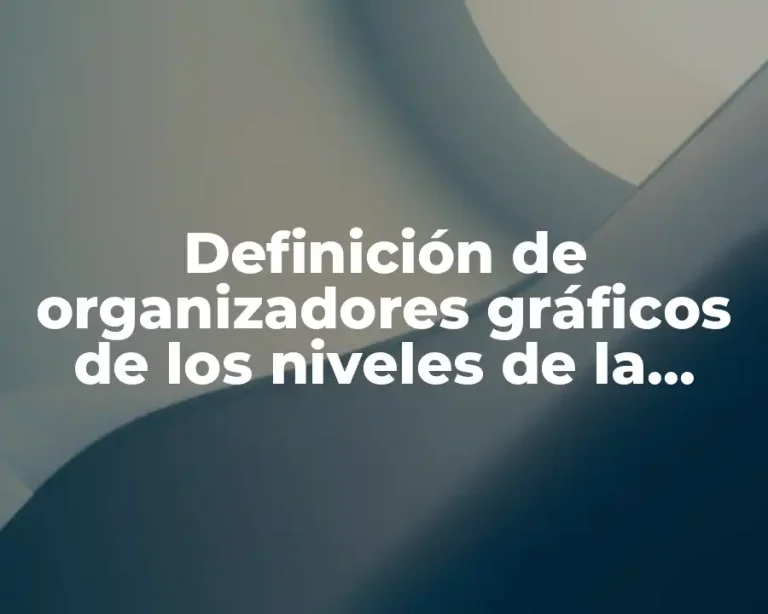 Definición de organizadores gráficos de los niveles de la materia