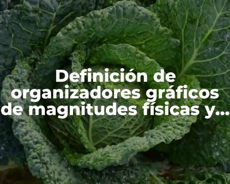 Definición de organizadores gráficos de magnitudes físicas y su medición