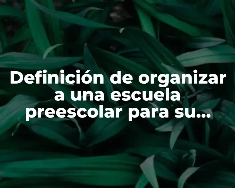 Definición de organizar a una escuela preescolar para su funcionamiento