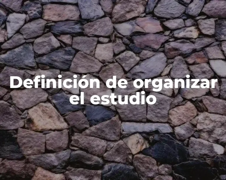 Definición de organizar el estudio