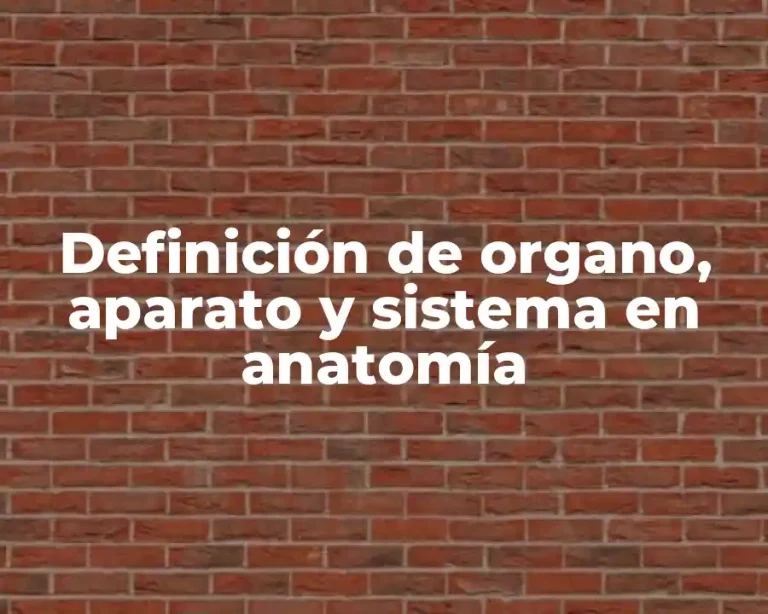 Definición de organo, aparato y sistema en anatomía