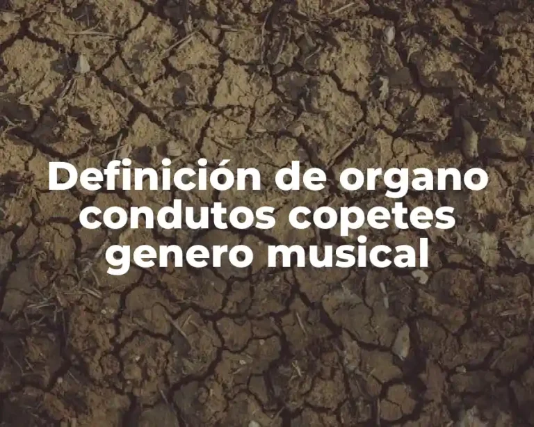 Definición de organo condutos copetes genero musical