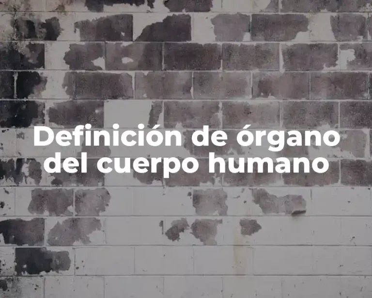 Definición de órgano del cuerpo humano