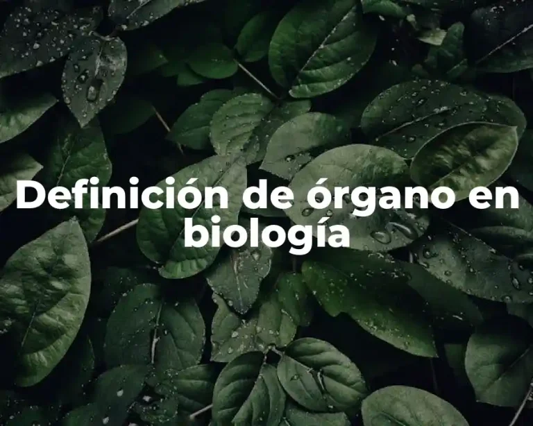 Definición de órgano en biología