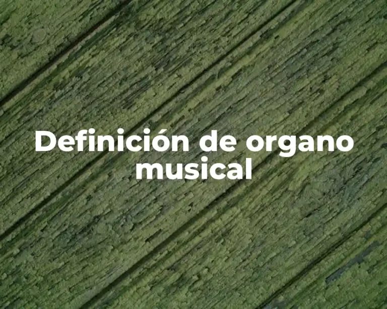 Definición de organo musical