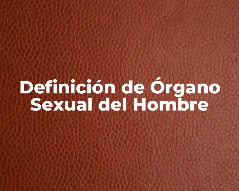Definición de Órgano Sexual del Hombre