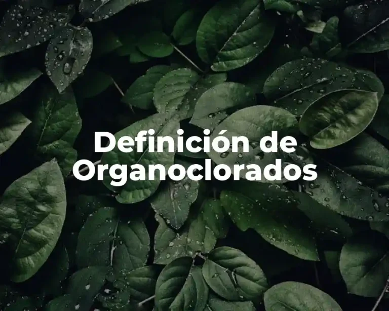 Definición de Organoclorados
