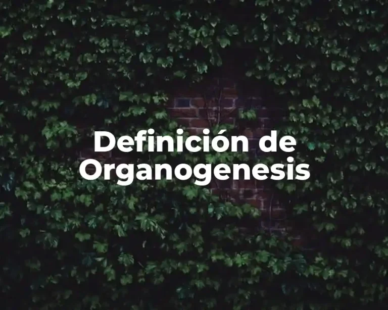 Definición de Organogenesis