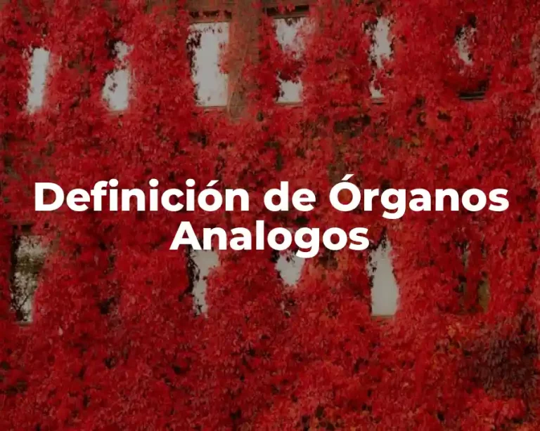 Definición de Órganos Analogos