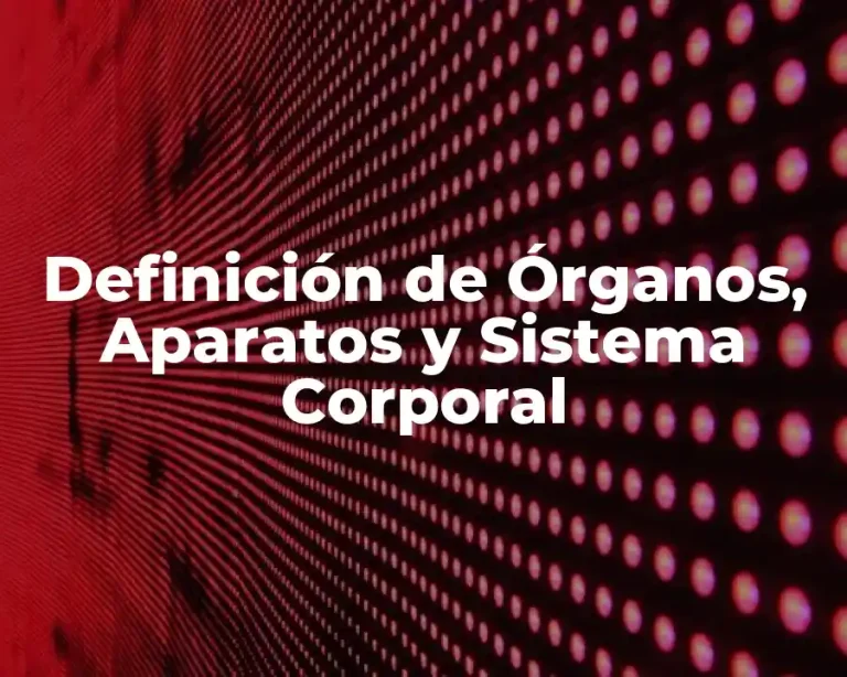 Definición de Órganos, Aparatos y Sistema Corporal
