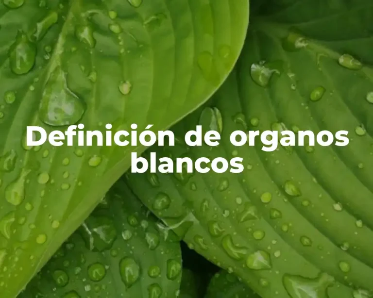 Definición de organos blancos