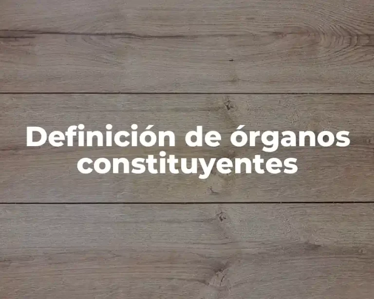 Definición de órganos constituyentes