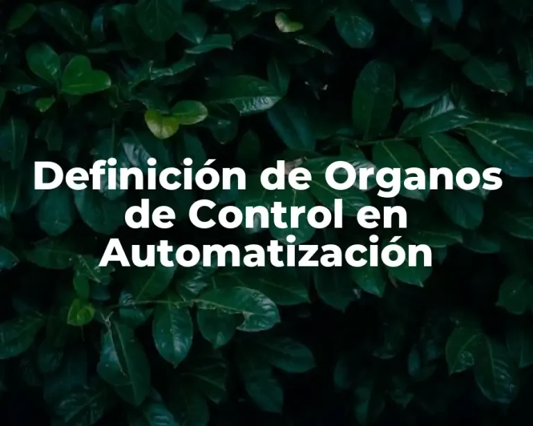 Definición de Organos de Control en Automatización