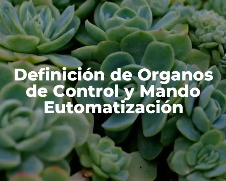 Definición de Organos de Control y Mando Eutomatización
