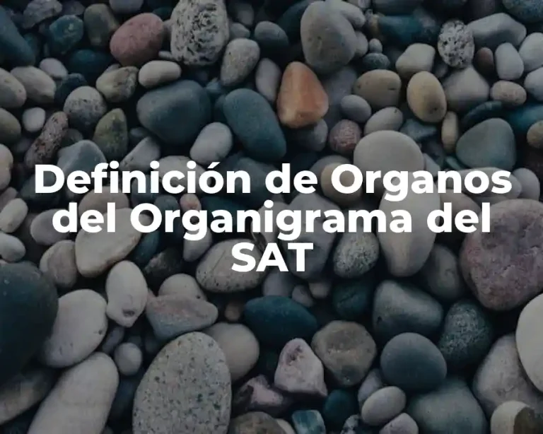 Definición de Organos del Organigrama del SAT
