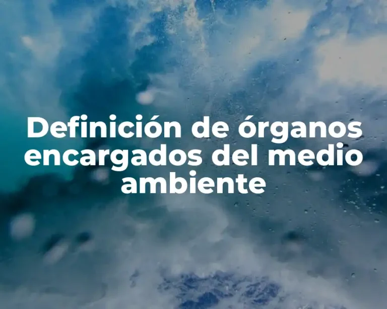 Definición de órganos encargados del medio ambiente