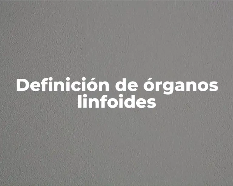 Definición de órganos linfoides
