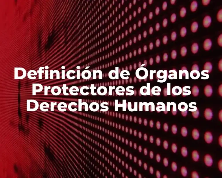 Definición de Órganos Protectores de los Derechos Humanos