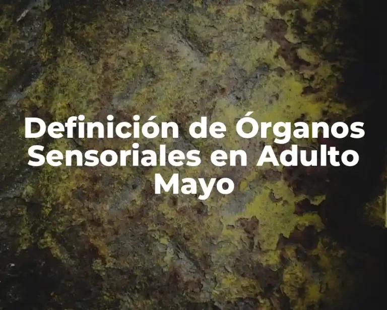 Definición de Órganos Sensoriales en Adulto Mayo