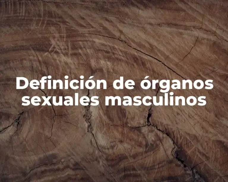 Definición de órganos sexuales masculinos