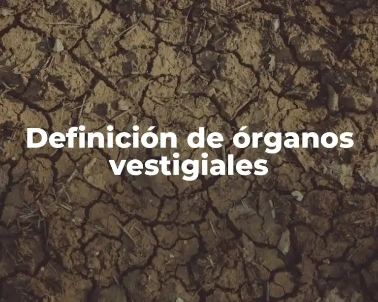 Definición de órganos vestigiales