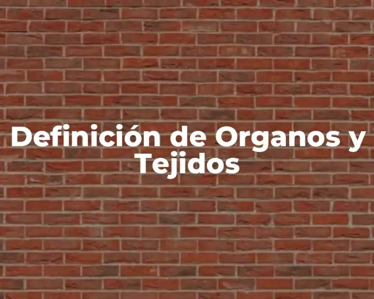 Definición de Organos y Tejidos