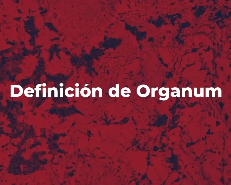 Definición de Organum