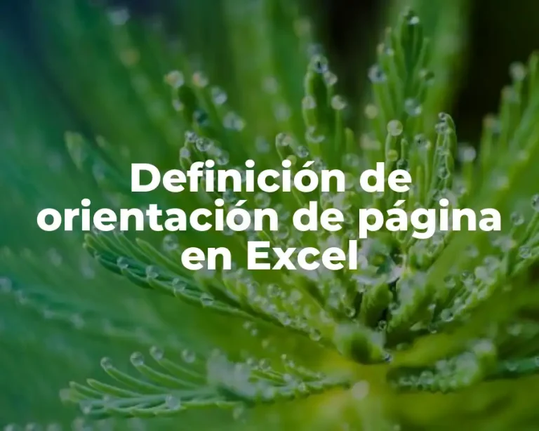 Definición de orientación de página en Excel