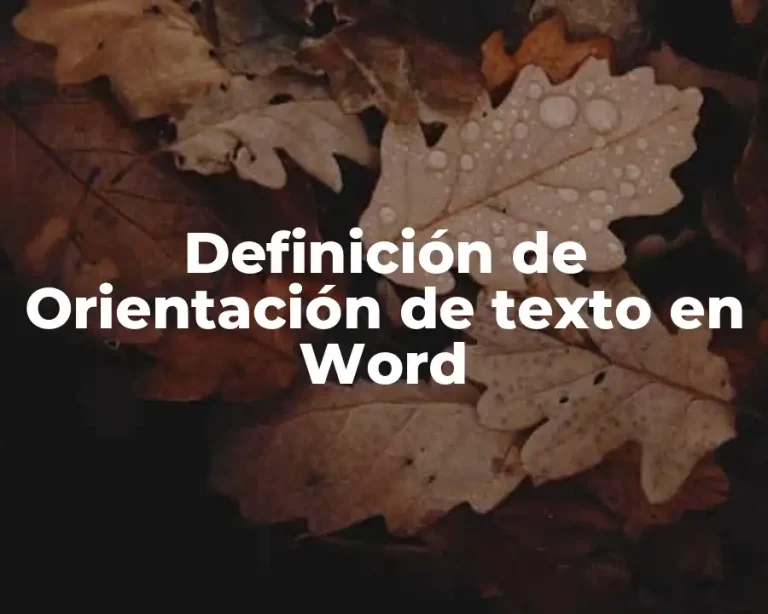 Definición de Orientación de texto en Word