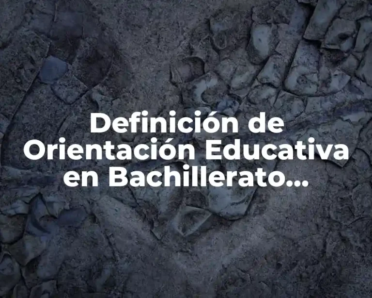 Definición de Orientación Educativa en Bachillerato Tecnológico