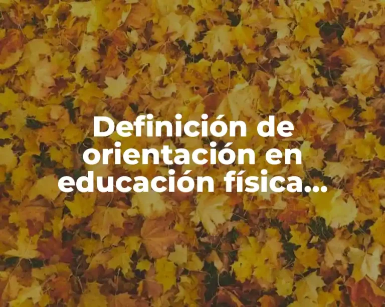 Definición de orientación en educación física capacidad física