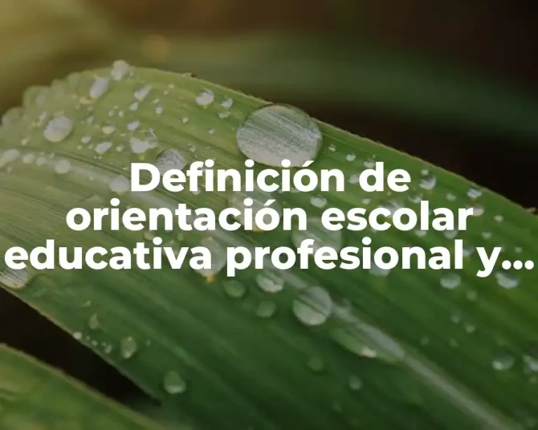Definición de orientación escolar educativa profesional y vocacional