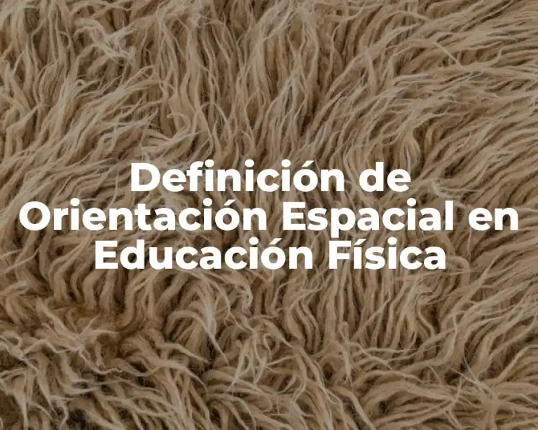 Definición de Orientación Espacial en Educación Física
