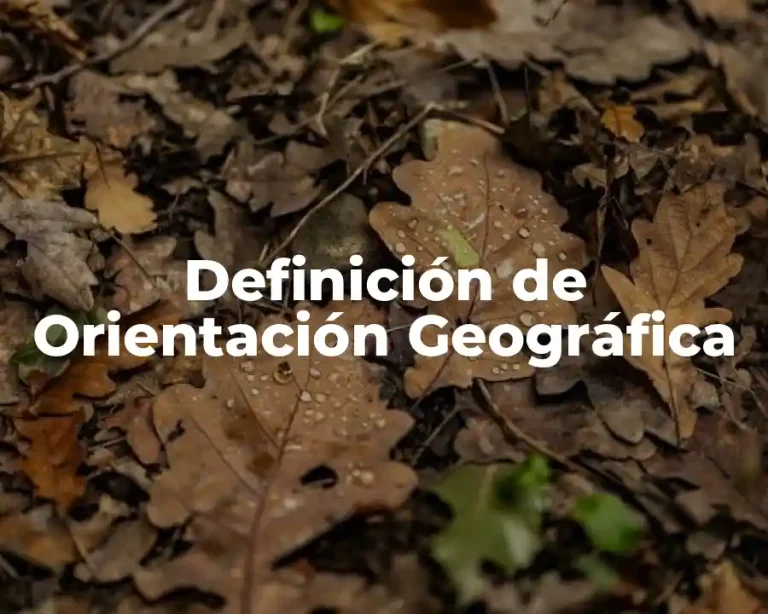 Definición de Orientación Geográfica