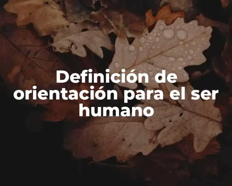 Definición de orientación para el ser humano