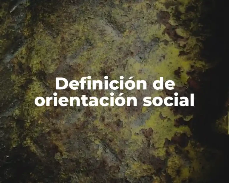 Definición de orientación social