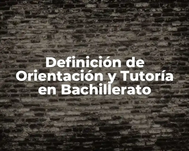 Definición de Orientación y Tutoría en Bachillerato