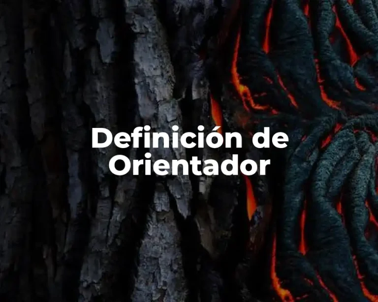 Definición de Orientador