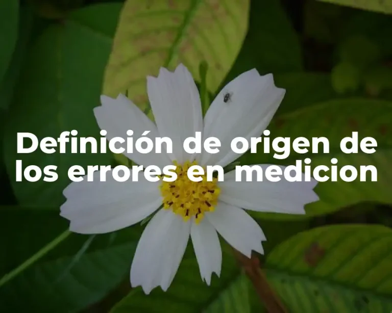 Definición de origen de los errores en medicion