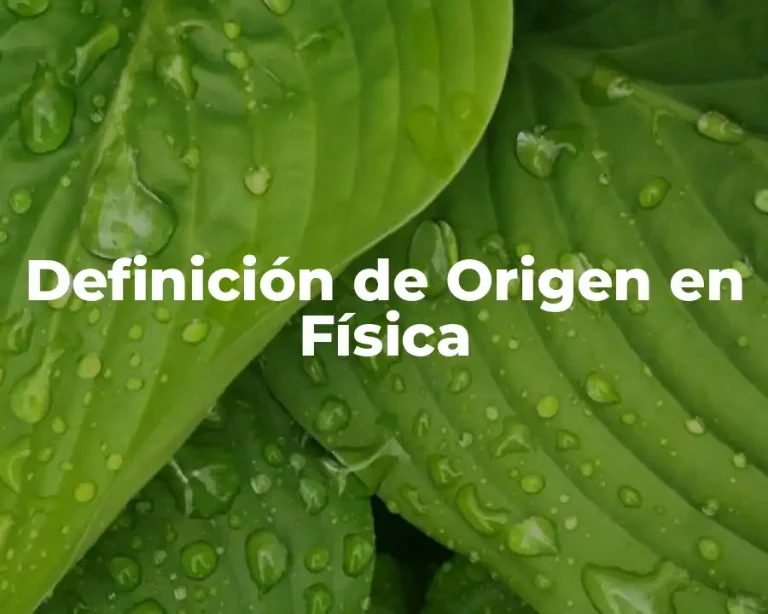 Definición de Origen en Física