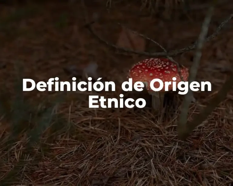 Definición de Origen Etnico